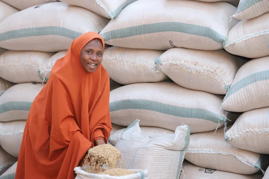 Kano Commodity Sourcing facility